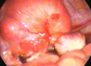 unnamed-1-e1720184895310